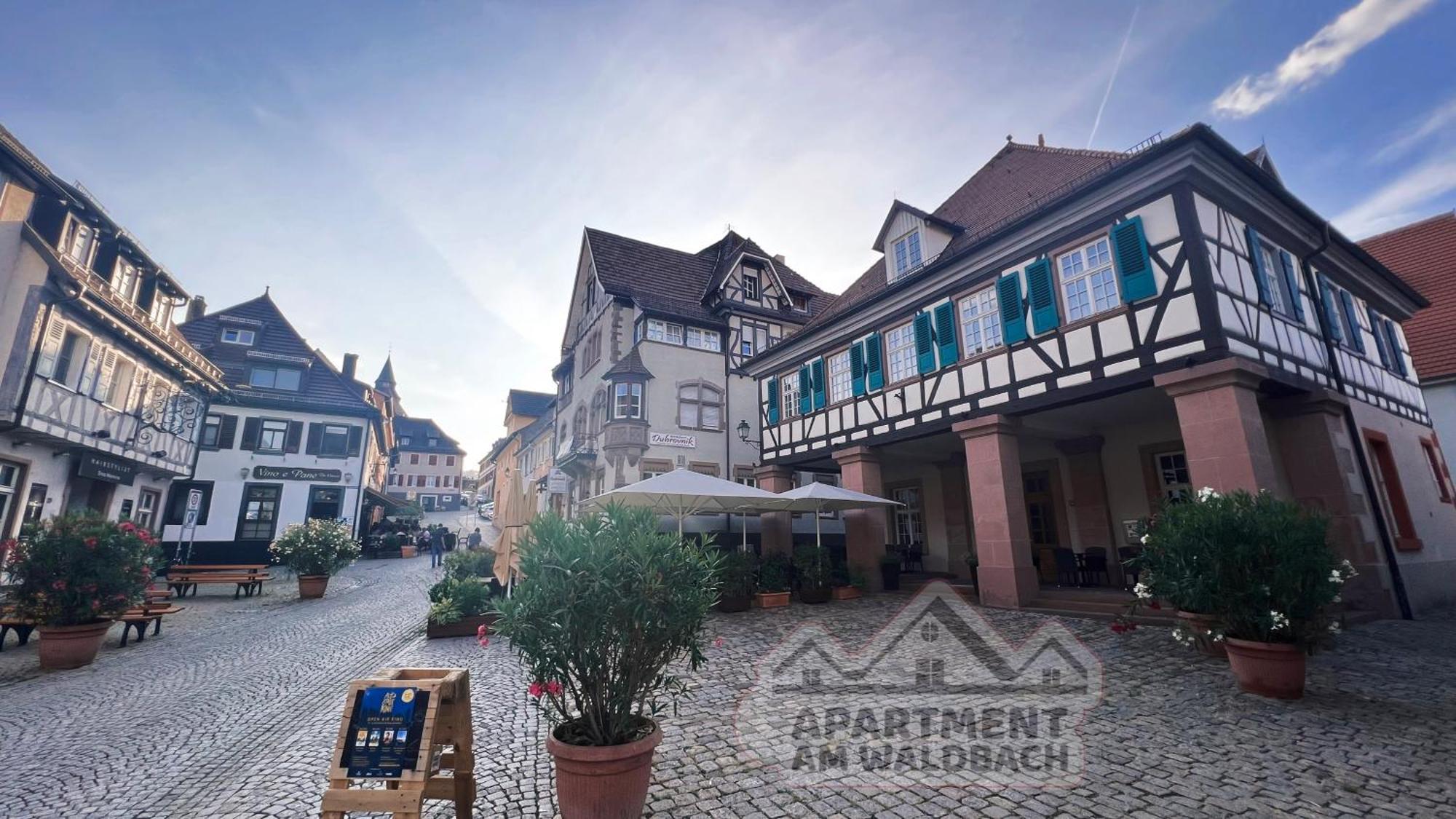 Apartment Am Waldbach Ґернсбах Екстер'єр фото